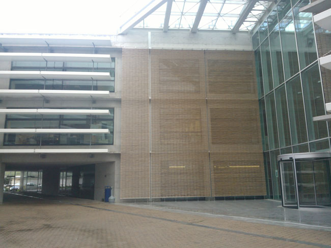 WP_004591