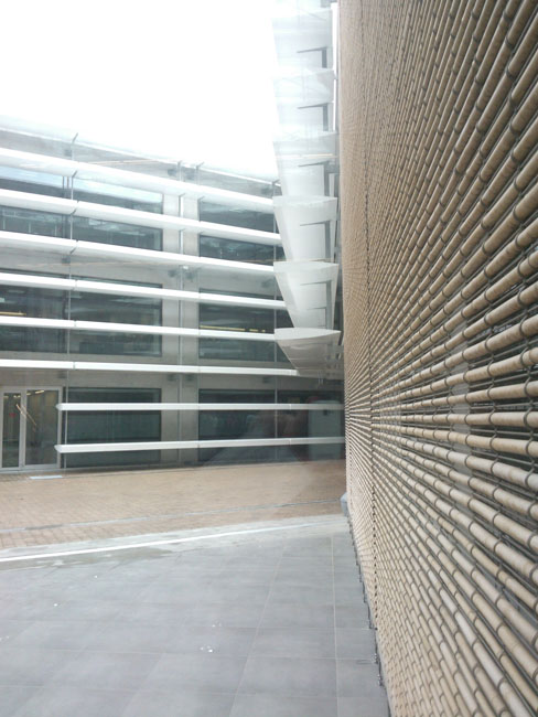 WP_004598