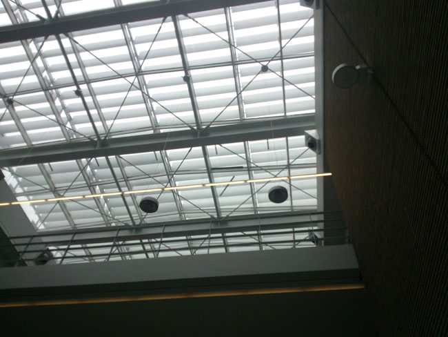 WP_004599