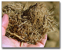 Types of Biomass Residues